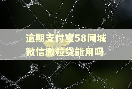 逾期支付宝58同城微信微粒贷能用吗 逾期支付宝58同城微信微粒贷能用吗