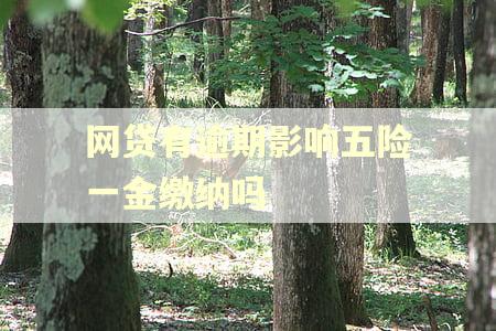 网贷有逾期影响五险一金缴纳吗