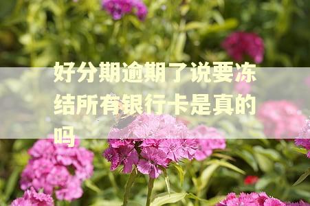 好分期逾期了说要冻结所有银行卡是真的吗