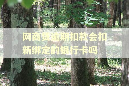 网商贷逾期扣款会扣新绑定的银行卡吗