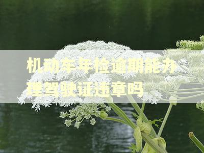 机动车年检逾期能办理驾驶证违章吗