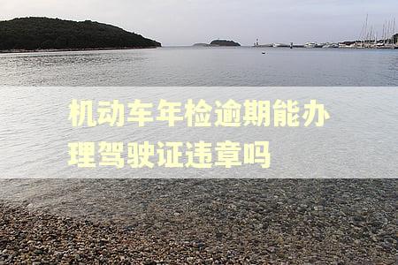 机动车年检逾期能办理驾驶证违章吗
