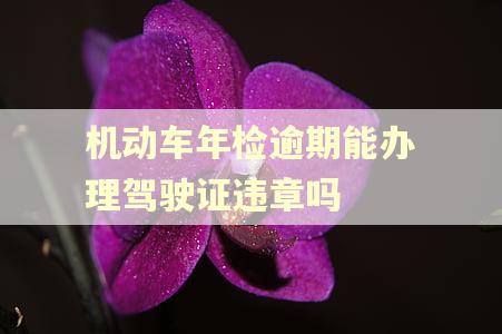 机动车年检逾期能办理驾驶证违章吗 机动车年检逾期能办理驾驶证违章吗