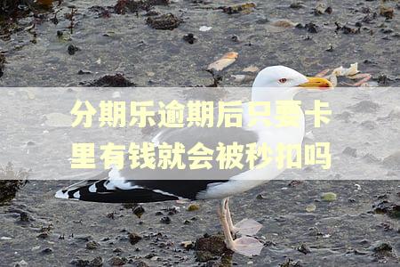分期乐逾期后只要卡里有钱就会被秒扣吗