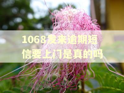 1068发来逾期短信要上门是真的吗
