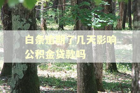 白条逾期了几天影响公积金贷款吗