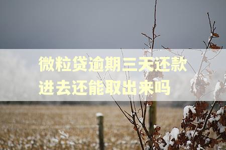 微粒贷逾期三天还款进去还能取出来吗 微粒贷逾期三天还款进去还能取出来吗
