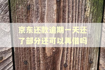 京东还款逾期一天还了部分还可以再借吗