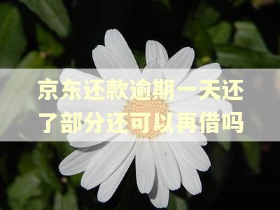京东还款逾期一天还了部分还可以再借吗