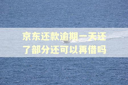 京东还款逾期一天还了部分还可以再借吗 京东还款逾期一天还了部分还可以再借吗