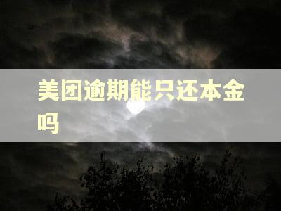 美团逾期能只还本金吗