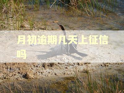 月初逾期几天上征信吗 月初逾期几天上征信吗