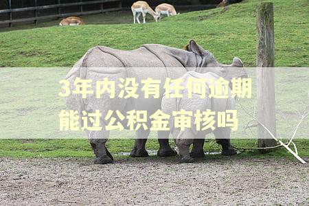 3年内没有任何逾期能过公积金审核吗