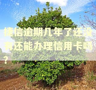 捷信逾期几年了还没有还能办理信用卡吗？