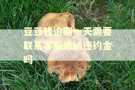 豆豆钱逾期一天需要联系客服缴纳违约金吗