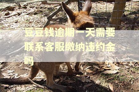 豆豆钱逾期一天需要联系客服缴纳违约金吗