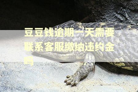 豆豆钱逾期一天需要联系客服缴纳违约金吗
