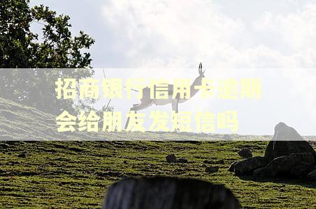 招商银行信用卡逾期会给朋友发短信吗