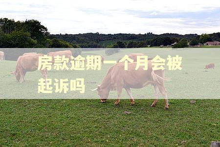房款逾期一个月会被起诉吗