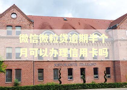 微信微粒贷逾期半个月可以办理信用卡吗