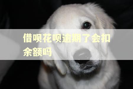 借呗花呗逾期了会扣余额吗