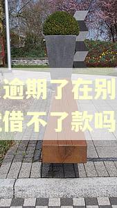 花呗逾期了在别的平台就借不了款吗