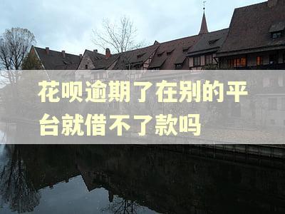 花呗逾期了在别的平台就借不了款吗