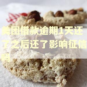 美团借款逾期1天还了之后还了影响征信吗 美团借款逾期1天还了之后还了影响征信吗