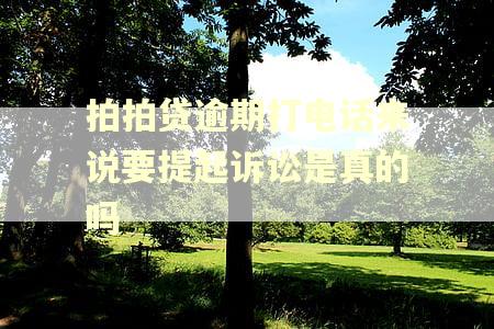 拍拍贷逾期打电话来说要提起诉讼是真的吗