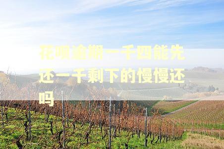 花呗逾期一千四能先还一千剩下的慢慢还吗