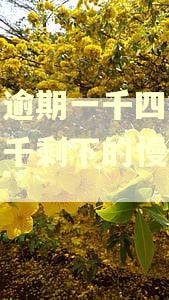 花呗逾期一千四能先还一千剩下的慢慢还吗 花呗逾期一千四能先还一千剩下的慢慢还吗