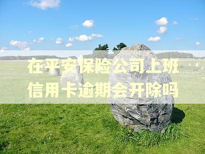 在平安保险公司上班信用卡逾期会开除吗