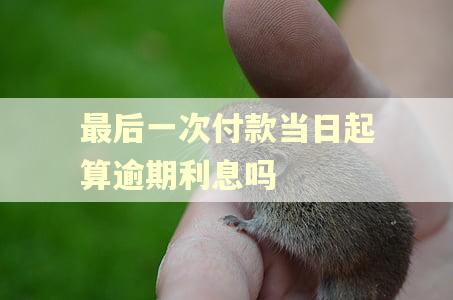 最后一次付款当日起算逾期利息吗
