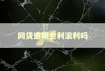 网贷逾期会利滚利吗