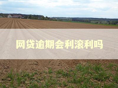 网贷逾期会利滚利吗