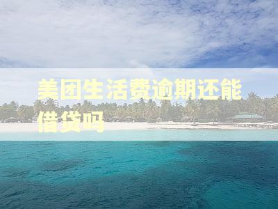 美团生活费逾期还能借贷吗