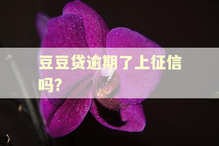 豆豆贷逾期了上征信吗? 豆豆贷逾期了上征信吗?