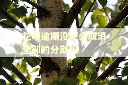 花呗逾期没还会取消全部的分期吗