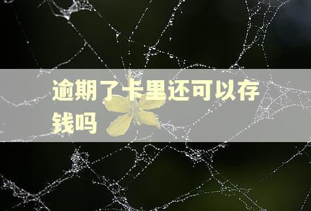逾期了卡里还可以存钱吗