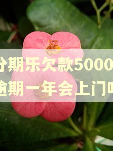 分期乐欠款5000逾期一年会上门吗