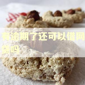 有逾期了还可以借网贷吗