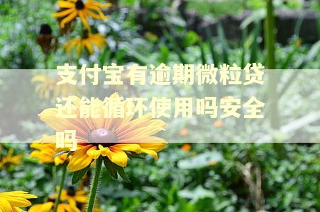 支付宝有逾期微粒贷还能循环使用吗安全吗