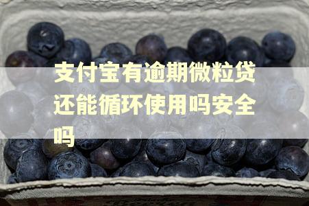 支付宝有逾期微粒贷还能循环使用吗安全吗 支付宝有逾期微粒贷还能循环使用吗安全吗