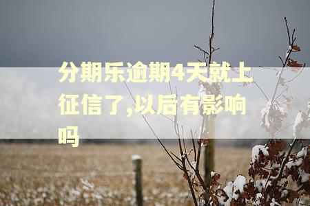 分期乐逾期4天就上征信了,以后有影响吗