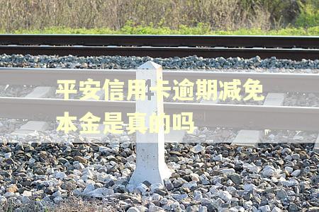平安信用卡逾期减免本金是真的吗
