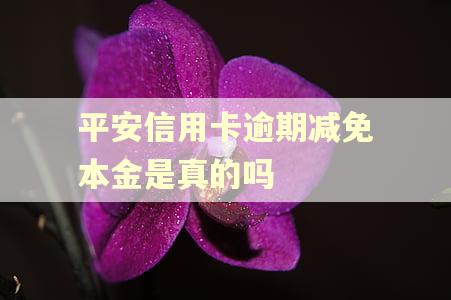 平安信用卡逾期减免本金是真的吗
