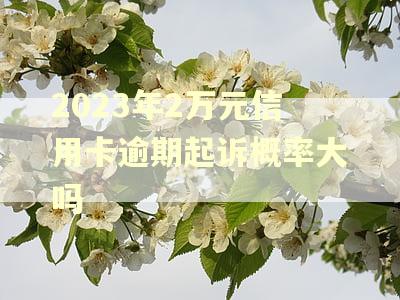 2023年2万元信用卡逾期起诉概率大吗