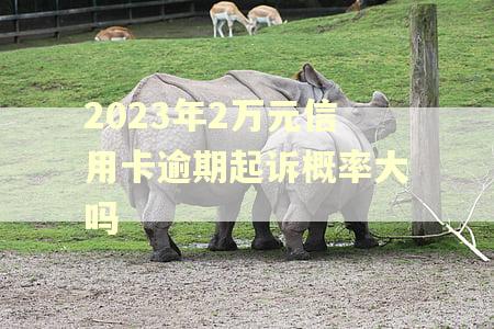 2023年2万元信用卡逾期起诉概率大吗