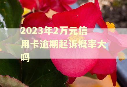 2023年2万元信用卡逾期起诉概率大吗