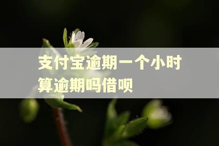 支付宝逾期一个小时算逾期吗借呗